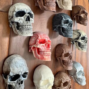 Skull magnet, skull figurine, small skull sculpture, small skull, anatomical skull, skull statue, skull sculpture, magnet