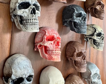 Anatomical Skull Magnet: Small Skull Sculpture, Unique Decor