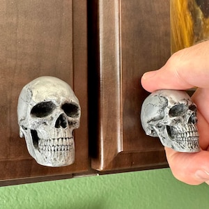 Peut inclure: Deux boutons de placard gris en forme de crâne. Les boutons présentent des détails réalistes, notamment des orbites, une cavité nasale et des dents. Les boutons sont montés sur une porte d'armoire marron.
