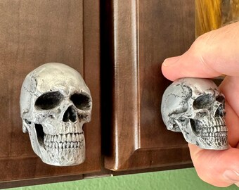 May include: Two grey skull-shaped cabinet knobs. The knobs have detailed features, including eye sockets, a nasal cavity, and teeth. The knobs are mounted on a brown cabinet door.