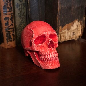 K&ouml;nnte beinhalten: Ein roter dekorativer Sch&auml;del mit detaillierten Merkmalen, einschlie&szlig;lich Augenh&ouml;hlen, Nasenh&ouml;hle und Z&auml;hnen. Der Sch&auml;del befindet sich auf einer dunklen Holzoberfl&auml;che, mit antiken B&uuml;chern im Hintergrund. Der Sch&auml;del hat einen leuchtenden Rotton.