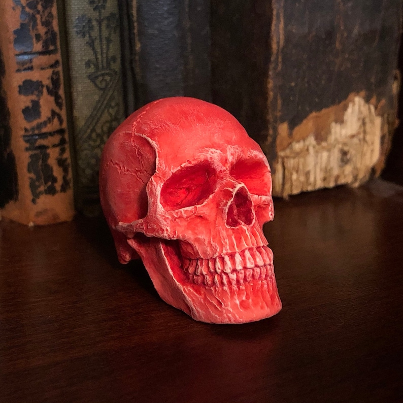 K&ouml;nnte beinhalten: Ein roter dekorativer Sch&auml;del mit detaillierten Merkmalen, einschlie&szlig;lich Augenh&ouml;hlen, Nasenh&ouml;hle und Z&auml;hnen. Der Sch&auml;del befindet sich auf einer dunklen Holzoberfl&auml;che, mit antiken B&uuml;chern im Hintergrund. Der Sch&auml;del hat einen leuchtenden Rotton.