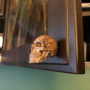 K&ouml;nnte beinhalten: Eine Schrankt&uuml;r mit einem sch&auml;delartigen Griff. Der Griff ist eine detaillierte, dreidimensionale Skulptur in Braun- und Beiget&ouml;nen, die an einer dunkelbraunen Schrankt&uuml;r angebracht ist. Die Schrankt&uuml;r ist teilweise ge&ouml;ffnet.