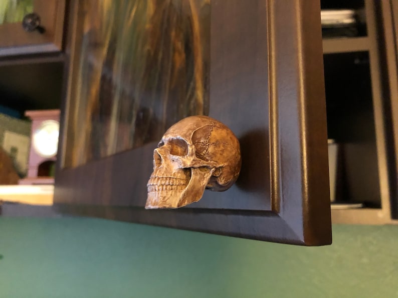 K&ouml;nnte beinhalten: Eine Schrankt&uuml;r mit einem sch&auml;delartigen Griff. Der Griff ist eine detaillierte, dreidimensionale Skulptur in Braun- und Beiget&ouml;nen, die an einer dunkelbraunen Schrankt&uuml;r angebracht ist. Die Schrankt&uuml;r ist teilweise ge&ouml;ffnet.