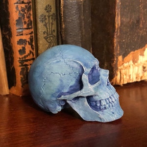 K&ouml;nnte beinhalten: Eine blaue Sch&auml;del-Figur mit detaillierter Knochenstruktur. Der Sch&auml;del ist in Blaut&ouml;nen bemalt und ruht auf einer Holzoberfl&auml;che. Antike B&uuml;cher befinden sich im Hintergrund.