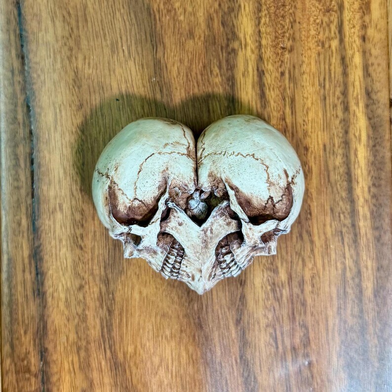 Antiqued white skull heart sculpture with brown shading, front view on wood