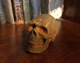 Small rusted iron skull statue, skull figurine, small skull sculpture, small skull, anatomical skull, skull statue, skull sculpture