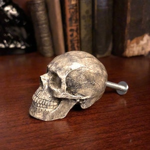 K&ouml;nnte beinhalten: Ein sch&auml;delformiger Schrankknauf mit einem verwitterten, gealterten Aussehen. Der Knauf hat eine hellgraue Farbe mit dunkleren Schattierungen in den Ritzen, und eine Metallschraube erstreckt sich von der R&uuml;ckseite. Der Knauf ist auf einer dunklen Holzoberfl&auml;che platziert.