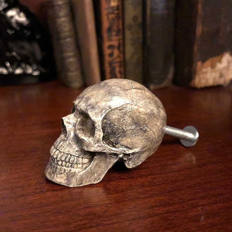 K&ouml;nnte beinhalten: Ein sch&auml;delformiger Schrankknauf mit einem verwitterten, gealterten Aussehen. Der Knauf hat eine hellgraue Farbe mit dunkleren Schattierungen in den Ritzen, und eine Metallschraube erstreckt sich von der R&uuml;ckseite. Der Knauf ist auf einer dunklen Holzoberfl&auml;che platziert.