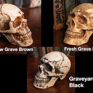 K&ouml;nnte beinhalten: Drei dekorative Totenkopf-Figuren in verschiedenen Farben: 'Shallow Grave Brown', 'Fresh Grave Brown' und 'Graveyard Black'. Die Sch&auml;del werden auf einer Holzoberfl&auml;che mit sichtbaren Textetiketten ausgestellt. Halloween- oder Gothic-Thema.
