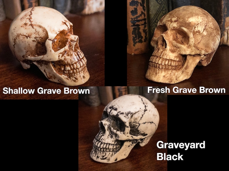 K&ouml;nnte beinhalten: Drei dekorative Totenkopf-Figuren in verschiedenen Farben: 'Shallow Grave Brown', 'Fresh Grave Brown' und 'Graveyard Black'. Die Sch&auml;del werden auf einer Holzoberfl&auml;che mit sichtbaren Textetiketten ausgestellt. Halloween- oder Gothic-Thema.