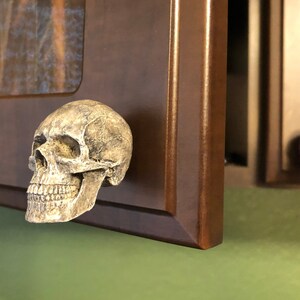 K&ouml;nnte beinhalten: Eine detaillierte, verwitterte Totenkopfskulptur ist an einem dunkelbraunen, gerahmten Kunstwerk befestigt. Der Sch&auml;del ist cremefarben mit sichtbarer Textur und Schatten. Ein zweiter, kleinerer Sch&auml;del ist im Hintergrund zu sehen.