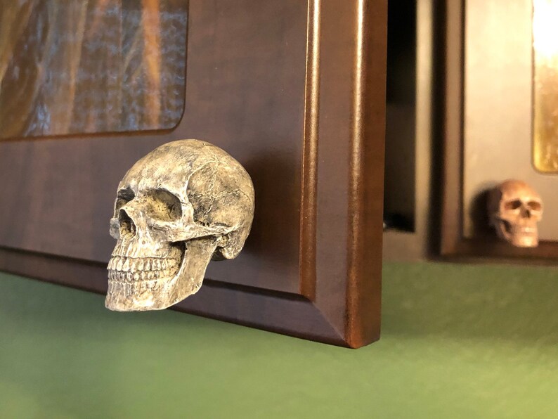K&ouml;nnte beinhalten: Eine detaillierte, verwitterte Totenkopfskulptur ist an einem dunkelbraunen, gerahmten Kunstwerk befestigt. Der Sch&auml;del ist cremefarben mit sichtbarer Textur und Schatten. Ein zweiter, kleinerer Sch&auml;del ist im Hintergrund zu sehen.