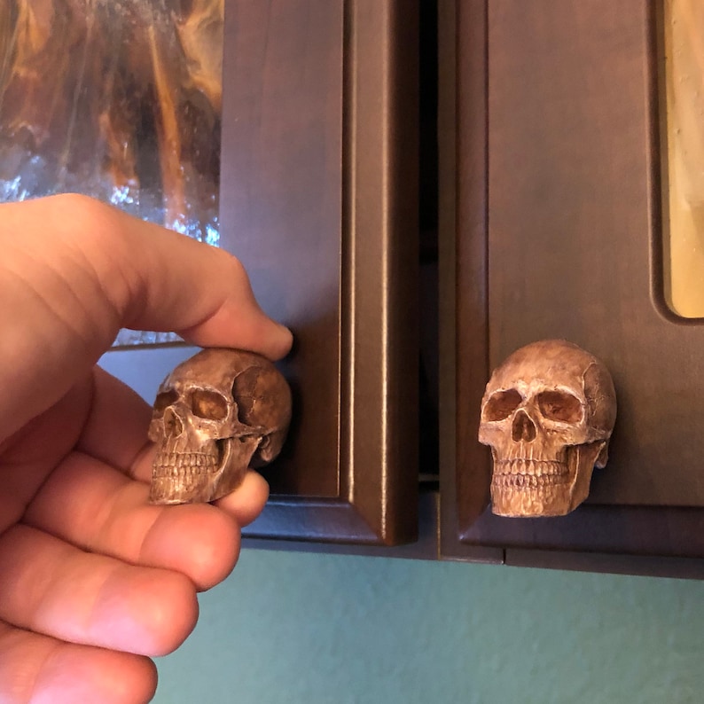 K&ouml;nnte beinhalten: Sch&auml;del-Schrankkn&ouml;pfe in Bronzefarbe. Ein Knopf wird von einer Hand gehalten, w&auml;hrend ein anderer an einer dunkelbraunen Schrankt&uuml;r befestigt ist. Die Kn&ouml;pfe haben detaillierte Gesichtsz&uuml;ge.