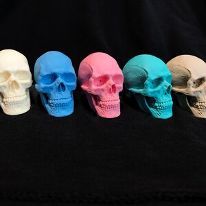 K&ouml;nnte beinhalten: F&uuml;nf farbige Totenkopf-Figuren in einer Reihe. Die Sch&auml;del sind in Wei&szlig;, Blau, Rosa, T&uuml;rkis und Beige bemalt. Die Sch&auml;del befinden sich auf einem schwarzen Hintergrund.