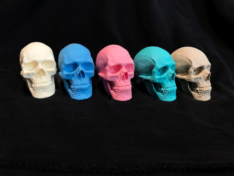 K&ouml;nnte beinhalten: F&uuml;nf farbige Totenkopf-Figuren in einer Reihe. Die Sch&auml;del sind in Wei&szlig;, Blau, Rosa, T&uuml;rkis und Beige bemalt. Die Sch&auml;del befinden sich auf einem schwarzen Hintergrund.