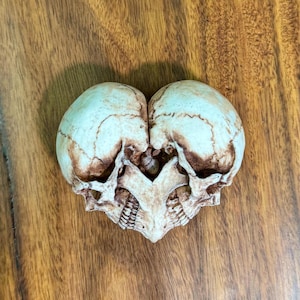 Aged ivory double skull heart sculpture with brown antiquing, lying on wood grain