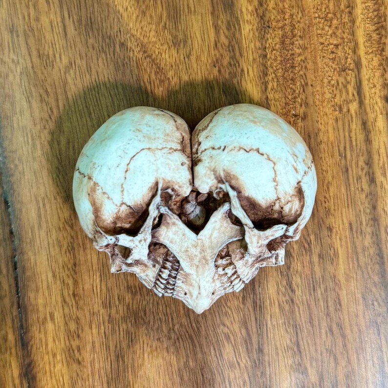 Aged ivory double skull heart sculpture with brown antiquing, lying on wood grain