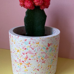 May include: A red cactus plant in a white terrazzo planter with pink, yellow and blue flecks. The planter is cylindrical and has a smooth, textured surface.