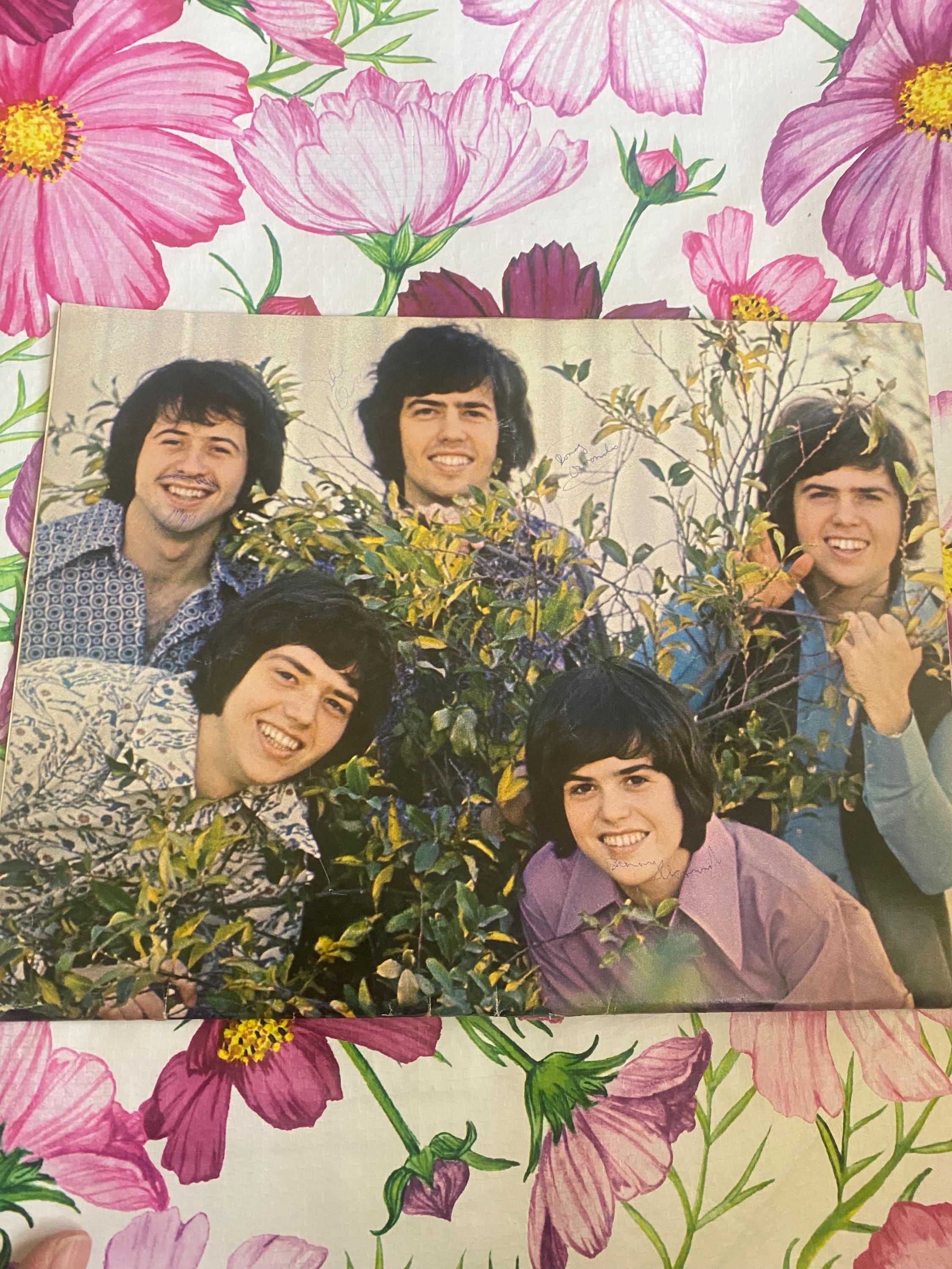 Vintage Teen Star Magazine June 1972 Donny Osmond Poster Jackson 5 Vintage Teen Star Magazine June 1972 Donny Osmond Poster Jackson 5