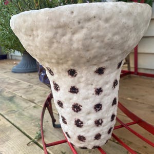 Puede incluir: Una maceta de cerámica blanca con una superficie texturizada y lunares marrones oscuros. La maceta tiene una parte superior ancha y acampanada y una base cilíndrica. Está llena de follaje verde y plateado.