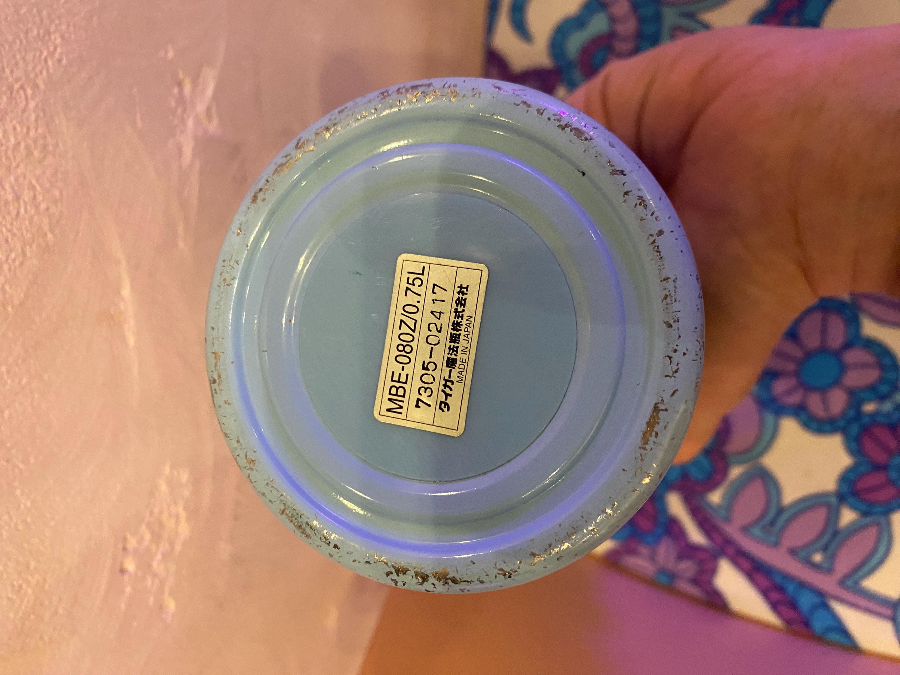 Vintage 1970s Snoopy & His Friends Tiger Thermos • Peanuts Japan