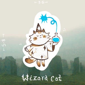 May include: A sticker featuring a brown and white cat dressed as a wizard in a star-patterned robe and pointed hat. The cat holds a blue potion bottle with a magical blue spark above it. The text "Wizard Cat" is printed below the illustration.