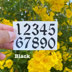May include: A white sheet of paper with black numbers 12345 67890 in a gothic font. The paper is held in a hand against a background of yellow flowers.