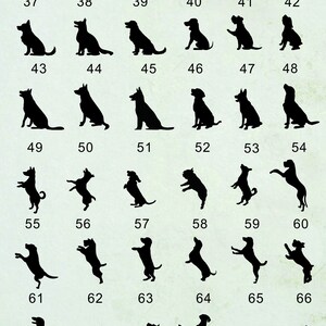 May include: A set of 72 black silhouette images of dogs in various poses. The images are numbered 37 through 72.