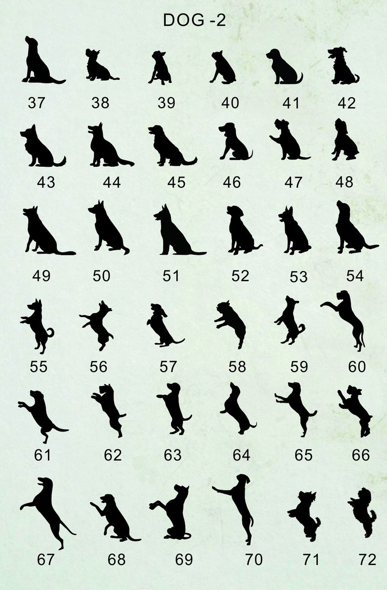 May include: A set of 72 black silhouette images of dogs in various poses. The images are numbered 37 through 72.