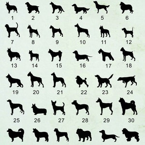 May include: A black and white illustration of 36 different dog breeds. The dogs are arranged in six rows of six, with each dog numbered from 1 to 36.