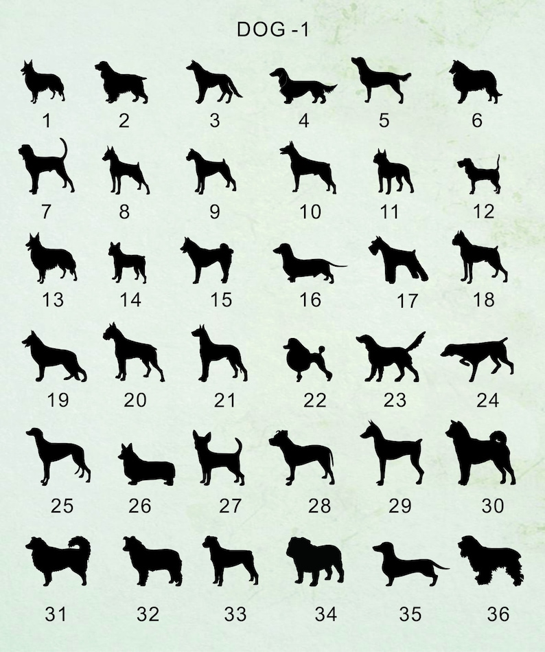 May include: A black and white illustration of 36 different dog breeds. The dogs are arranged in six rows of six, with each dog numbered from 1 to 36.