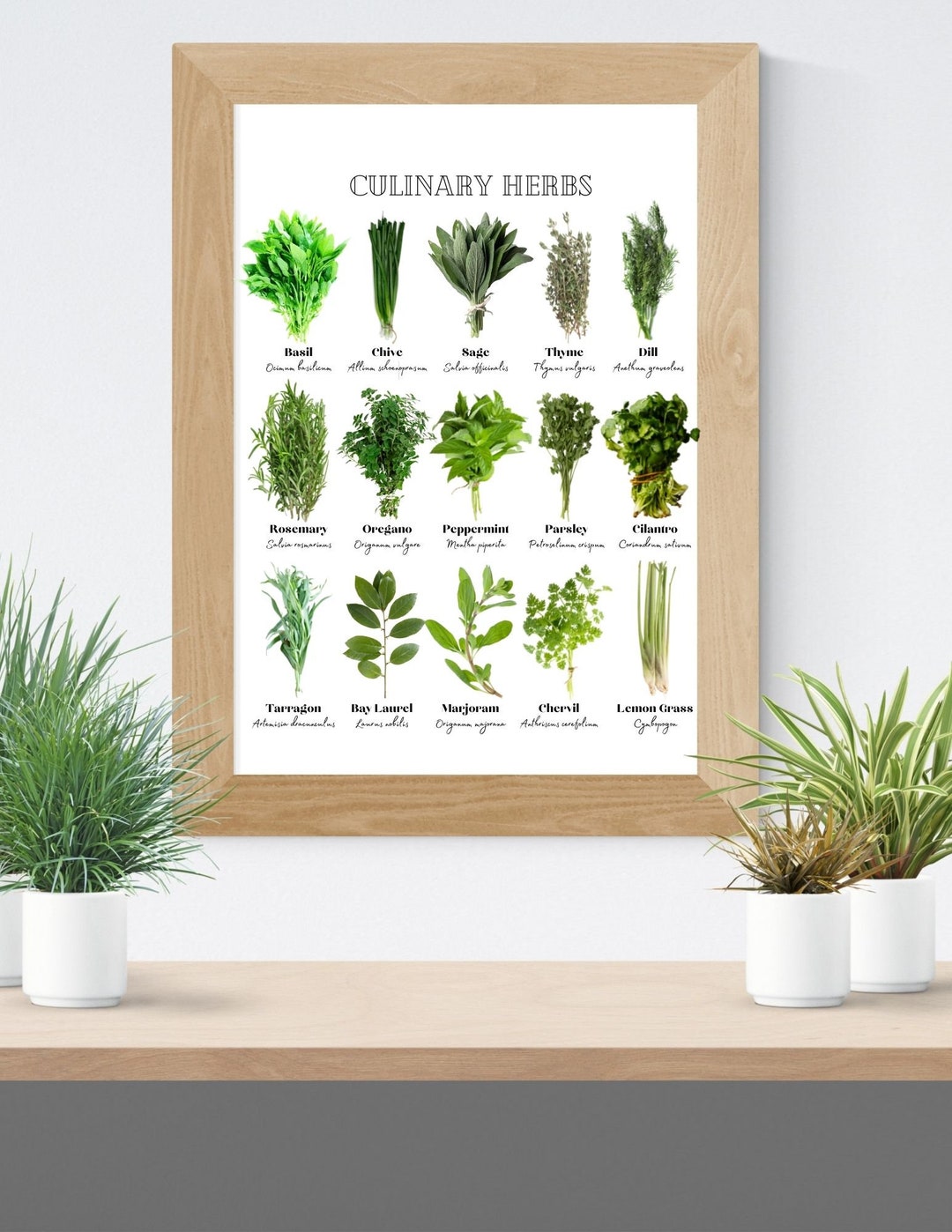 Culinary Herbs Print | Kitchen Print |digital Art | Herbs | Printable ...