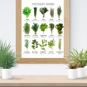 Culinary Herbs Print | Kitchen Print |Digital Art | Herbs | Printable Artwork | Nutrition