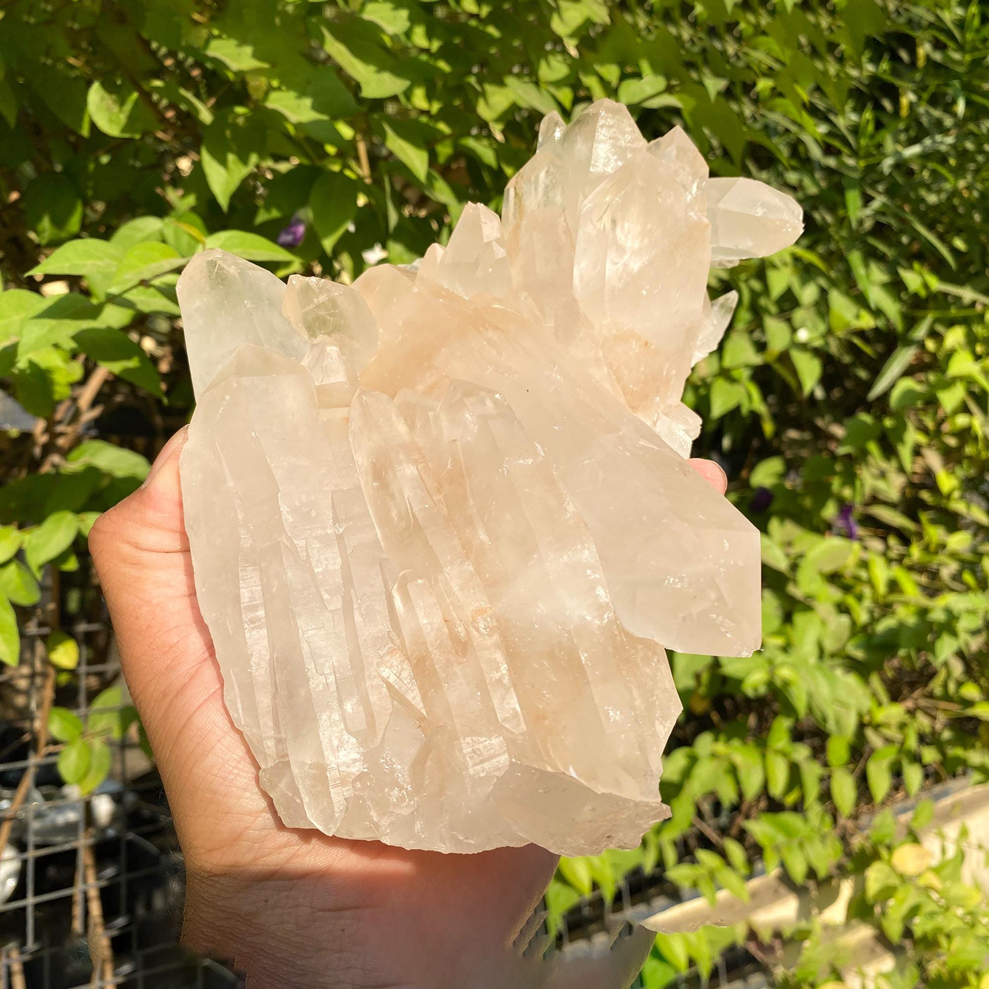 天然ピンクヒマラヤ水晶クラスター原石標本 1.555kg - Etsy 日本