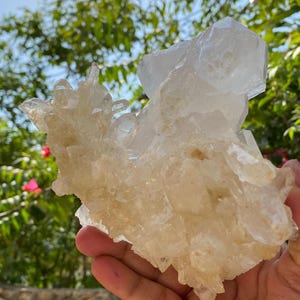 Op de afbeelding: Een grote, ruwe kwartskristalgroep met een lichtgele en heldere kleur. Het kristal heeft meerdere punten en een ruwe, natuurlijke textuur. De cluster wordt in een hand gehouden tegen een achtergrond van groen gebladerte en een blauwe lucht.