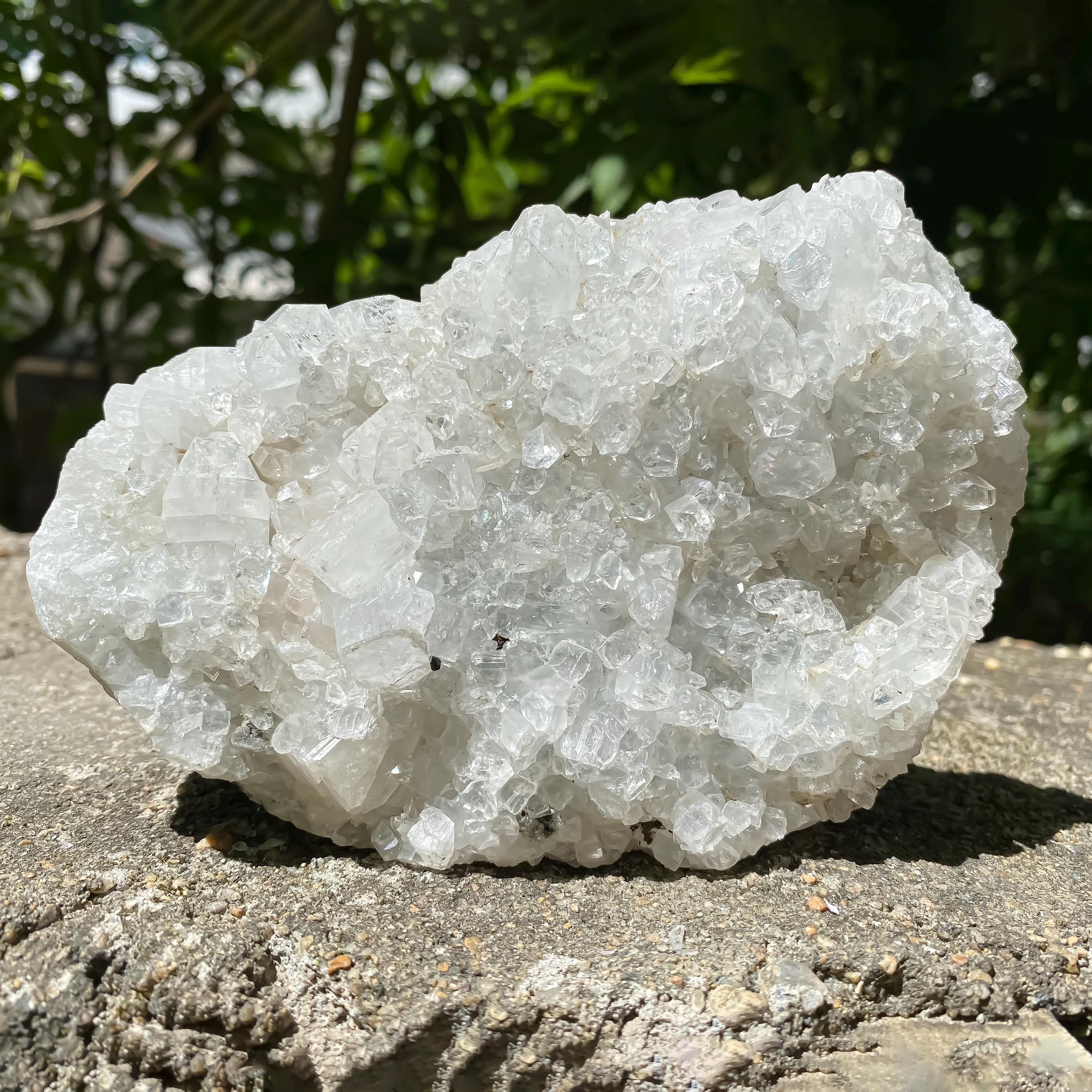 アポフィライトゼオライト結晶クラスター – 635gm 希少天然産 アポフィライトゼオライト結晶クラスター – 635gm 希少天然産