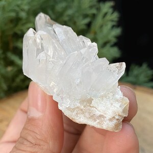 以下が含まれることがあります： 白くざらざらした土台に、透明な水晶のクラスター。水晶は尖っていて、透き通った見た目です。