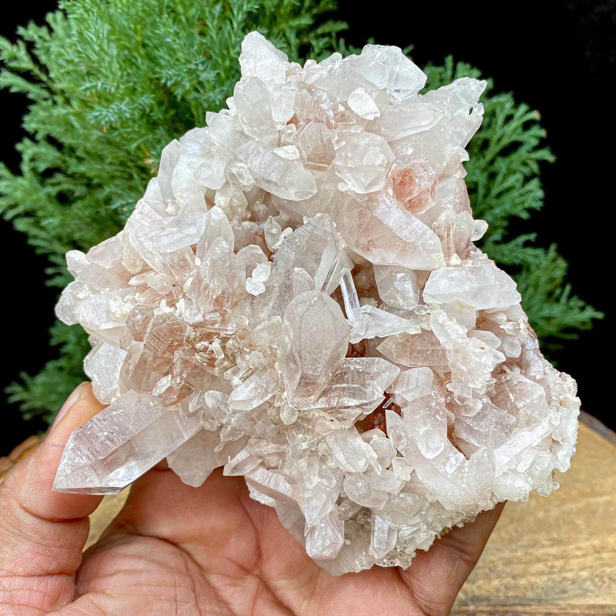 450gm Pink Samadhi Quartz Point: Himalayan Red Healer Crystal