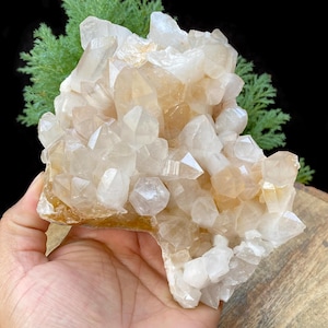 Natural Golden Healer Quartz Point 2.12 lbs Yellow Quartz Crystal Rough Cluster, Raw Indian Mineral Specimen for Collection Healing YLQ-597