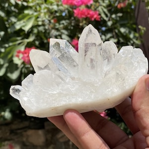 ヒマラヤ産ホワイトクォーツの結晶クラスター – 天然の原石標本 ホーム