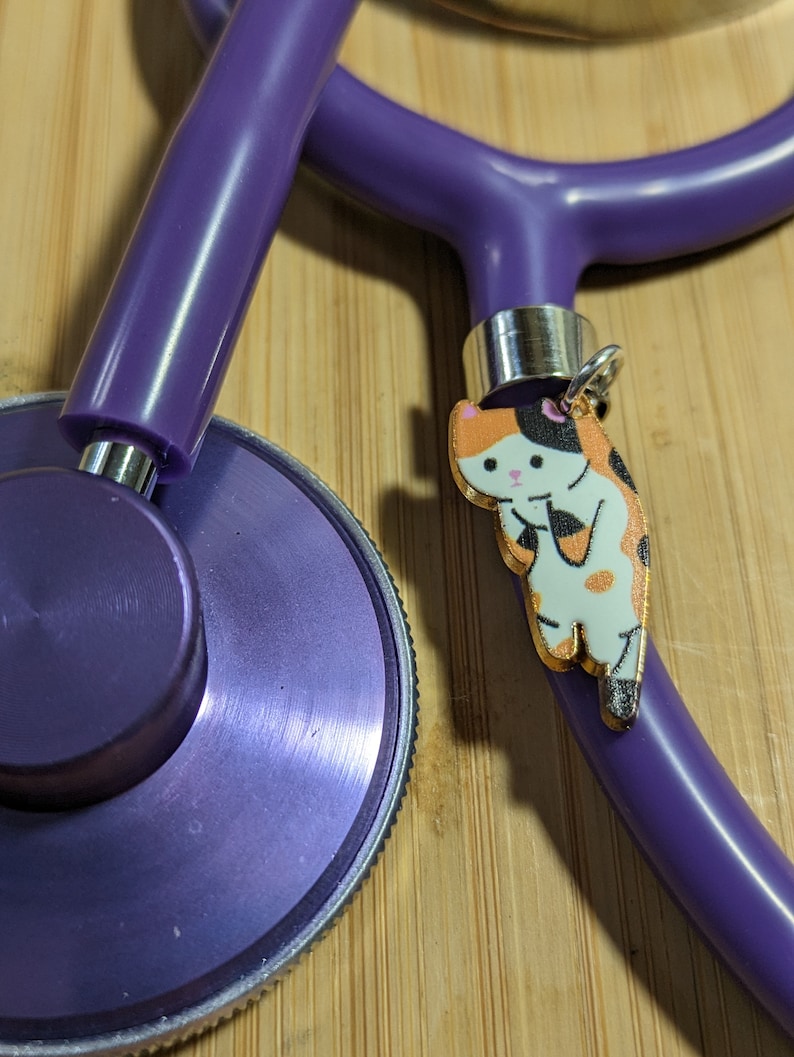 May include: Purple stethoscope with a cat charm attached. The charm is a cartoon cat with orange, black, and white fur.
