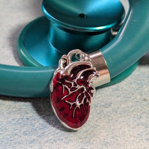 Ciondolo a forma di cuore con stetoscopio, ciondolo, stetoscopio, infermiere, veterinario, medicina, regali, gioielli, dottore, veterinario, cardiologia, cuore anatomico