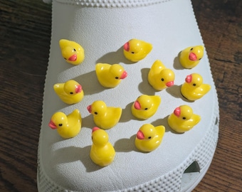 Duck Shoe Charm, Shoe Charms, Nurse Gift Vet