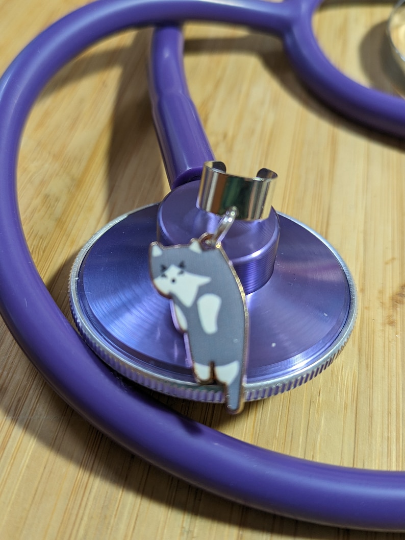 May include: Purple stethoscope with a silver charm of a cat hanging from it. The charm is attached to a silver ring.