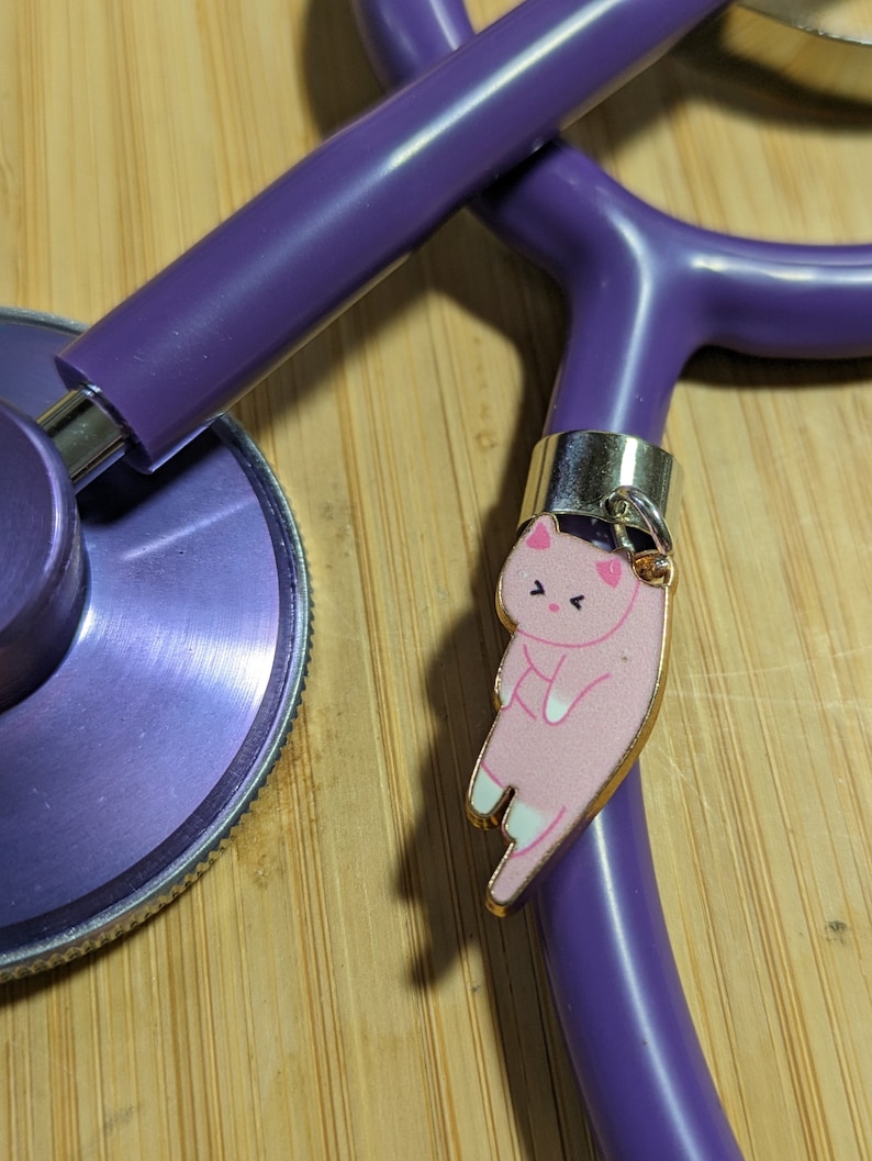 May include: Purple stethoscope with a pink cartoon cat charm attached to the tubing.
