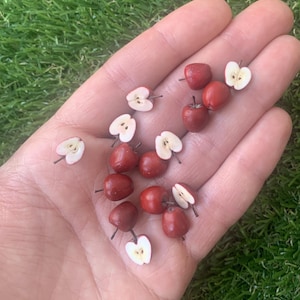 Pu&ograve; includere: Una collezione di mele rosse in miniatura e fettine di mela. Il set include diverse piccole mele rosse intere con piccioli marroni e molteplici fette trasversali che rivelano un interno color crema con piccoli semi marroni al centro.