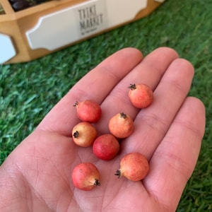 Pu&ograve; includere: Sette melograni in miniatura con buccia liscia, rotonda e di colore rosso-arancio, con piccoli calici marroni sulla parte superiore. Questi minuscoli frutti sono mostrati in un palmo aperto, evidenziando la loro scala ridotta e forma sferica.