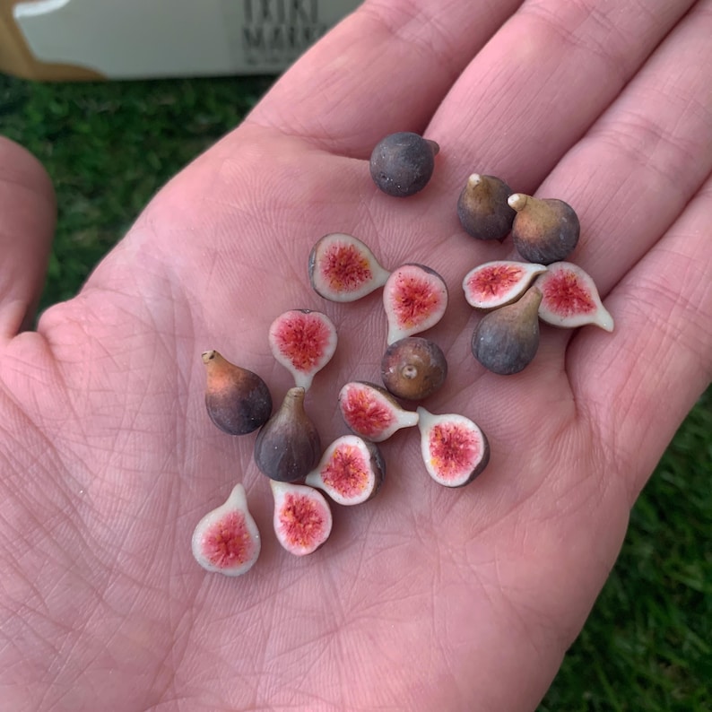 Pu&ograve; includere: Una collezione di miniature a forma di fico, che comprende frutti interi di colore viola scuro e met&agrave; che rivelano un interno rosa vibrante e strutturato con minuscoli semi. Questi piccoli oggetti dettagliati sono disposti in modo sparso.
