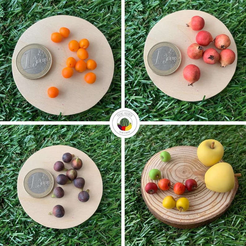 Pu&ograve; includere: Una collezione di repliche di frutta in miniatura che include bacche arancioni, piccole melagrane rosse, fichi viola scuro e mele gialle. Ogni set &egrave; esposto su una base circolare in legno accanto a una moneta da 1 euro per la scala.